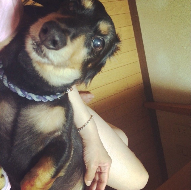 f:id:chikuwansai:20140627185055j:plain f:id:chikuwansai:20140627185055j:plain