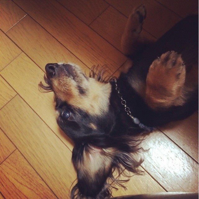 f:id:chikuwansai:20140704170126j:plain f:id:chikuwansai:20140704170126j:plain