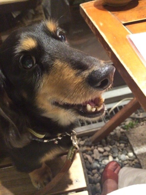 f:id:chikuwansai:20140705084050j:plain f:id:chikuwansai:20140705084050j:plain