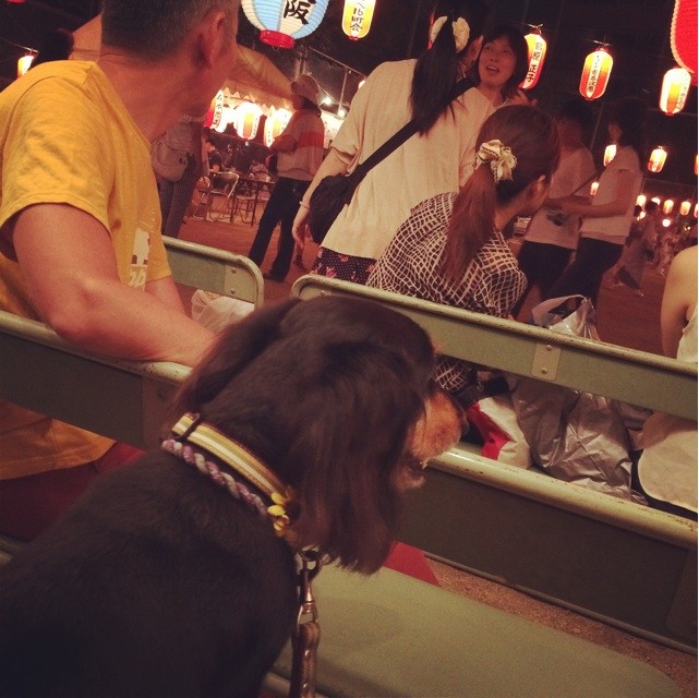 f:id:chikuwansai:20140831102018j:plain f:id:chikuwansai:20140831102018j:plain