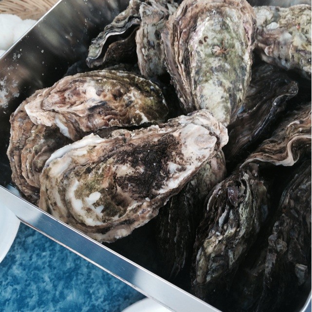 f:id:chikuwansai:20140916132325j:plain f:id:chikuwansai:20140916132325j:plain
