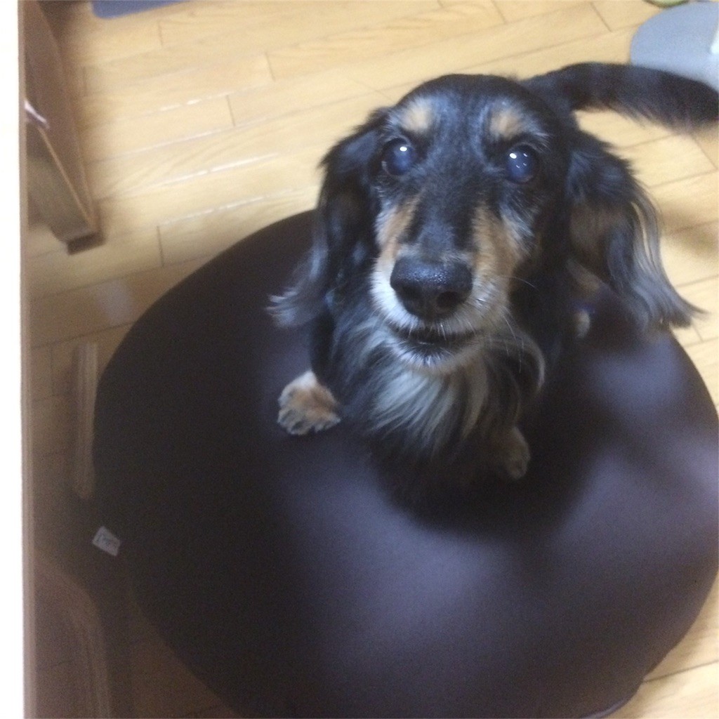 f:id:chikuwansai:20160107144542j:image f:id:chikuwansai:20160107144542j:image
