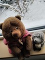 http://cdn-ak.f.st-hatena.com/images/fotolife/c/chilican/20181207/20181207114935.jpg
