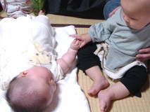 f:id:chim:20080506181000j:image f:id:chim:20080506181000j:image