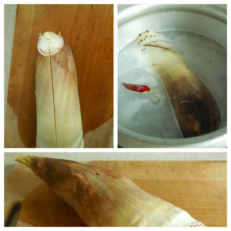 筍の茹で方