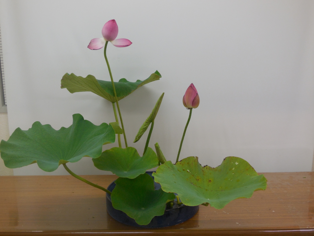 f:id:chimako-tsushin:20150729213703j:plain