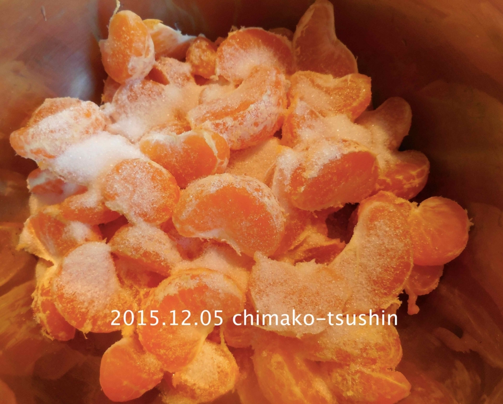 f:id:chimako-tsushin:20151205115557j:plain