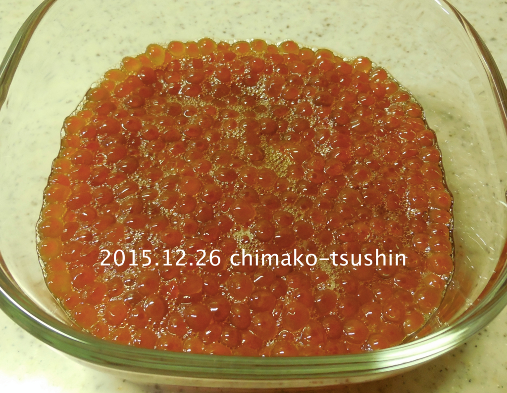 f:id:chimako-tsushin:20151226105918j:plain