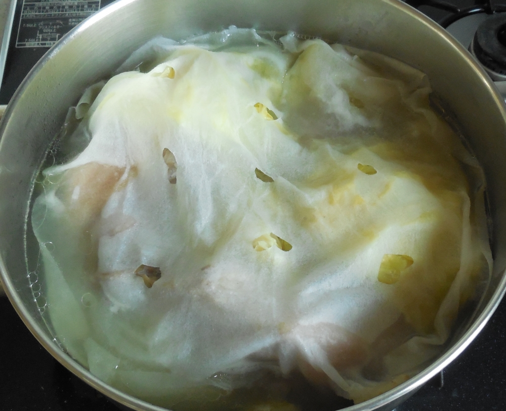 f:id:chimako-tsushin:20160603214820j:plain