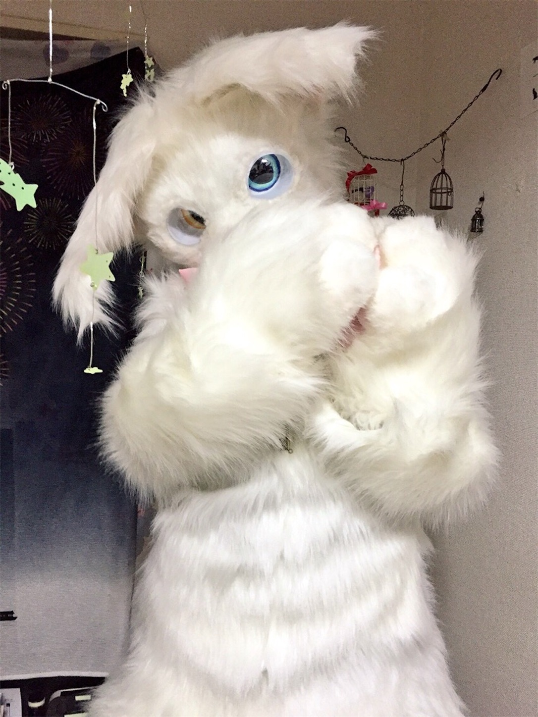 f:id:chisarakonbu:20160513232405j:image f:id:chisarakonbu:20160513232405j:image