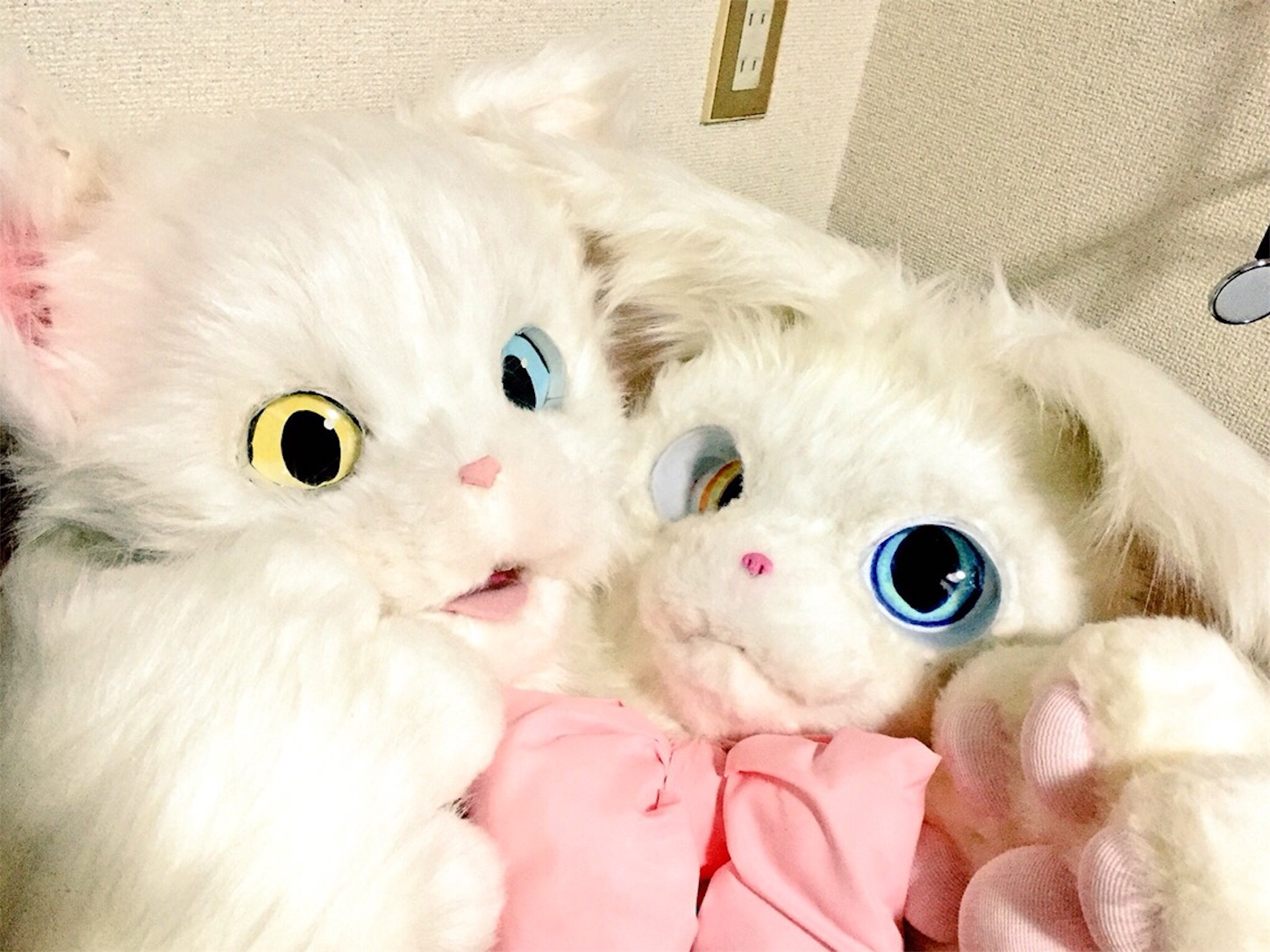f:id:chisarakonbu:20160513233034j:image f:id:chisarakonbu:20160513233034j:image