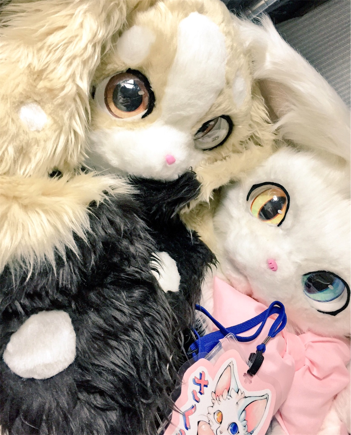 f:id:chisarakonbu:20160526144659j:image f:id:chisarakonbu:20160526144659j:image