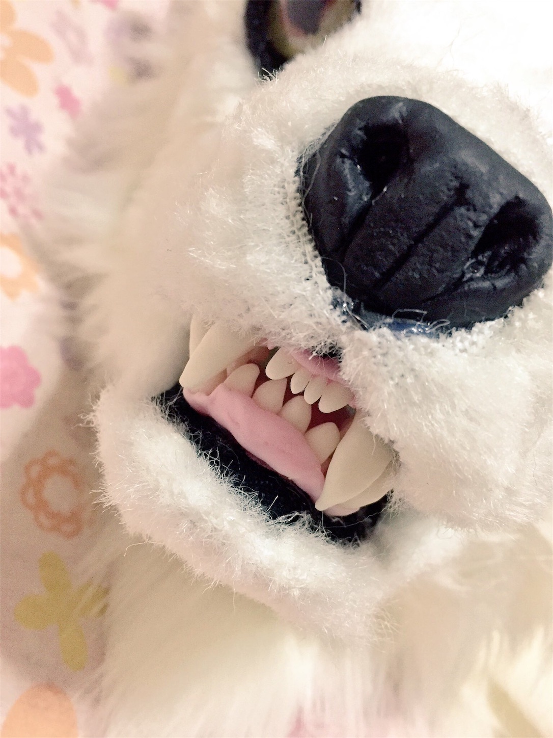f:id:chisarakonbu:20160601231349j:image f:id:chisarakonbu:20160601231349j:image