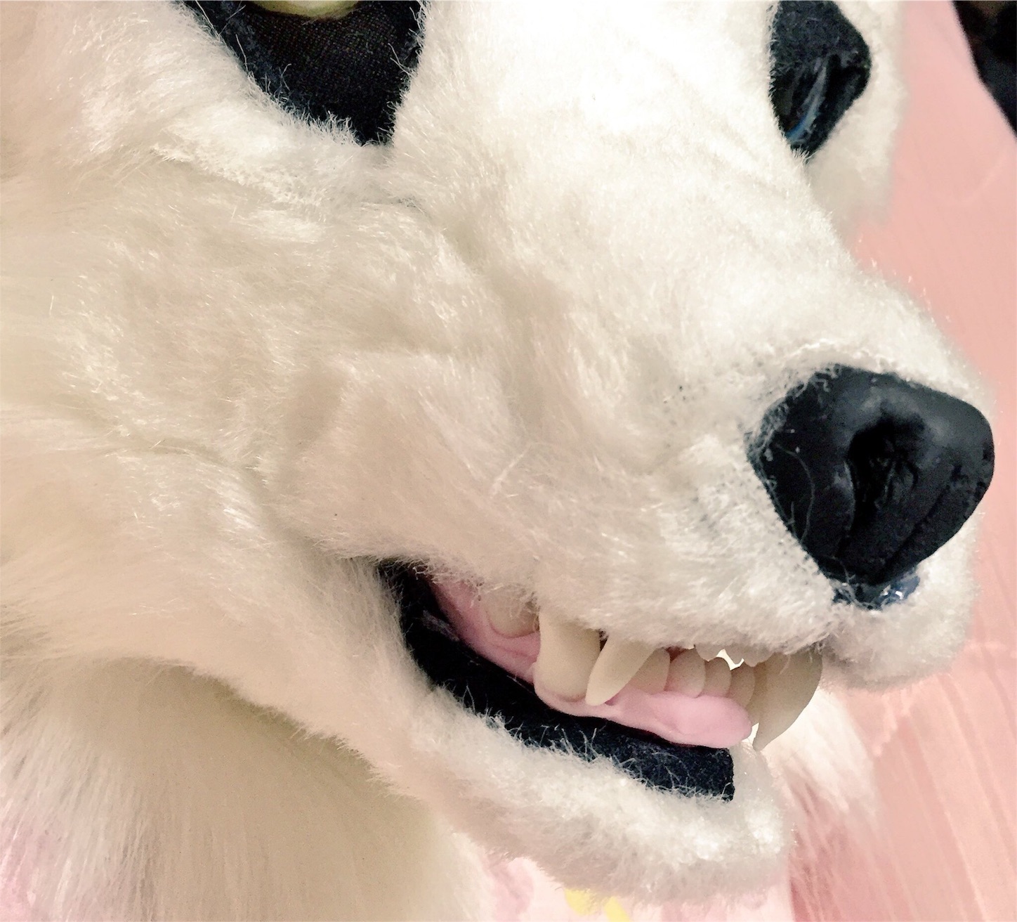 f:id:chisarakonbu:20160601231406j:image f:id:chisarakonbu:20160601231406j:image