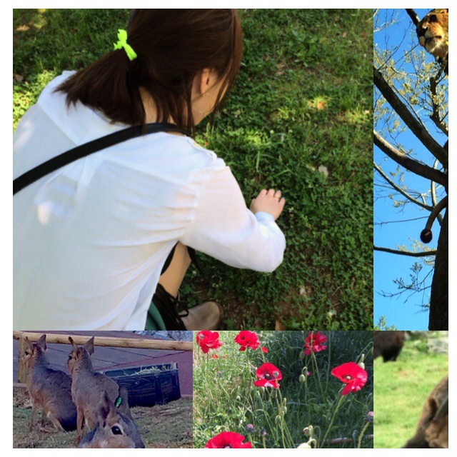 f:id:chise1219:20140613200557j:plain f:id:chise1219:20140613200557j:plain