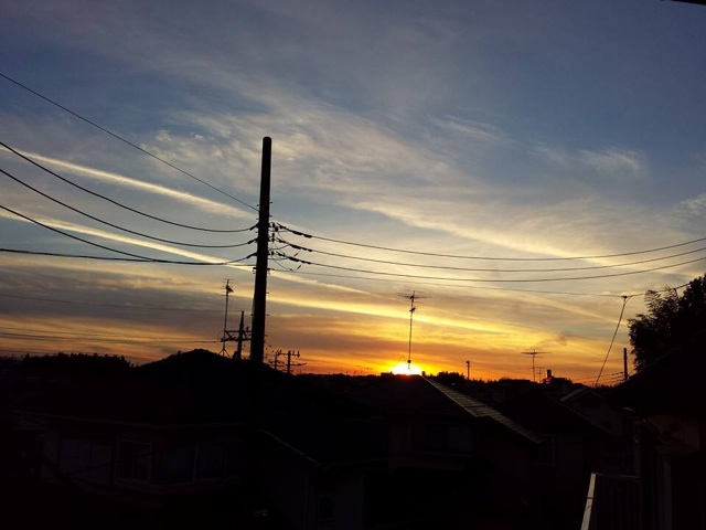 f:id:chise1219:20140617120338j:plain f:id:chise1219:20140617120338j:plain