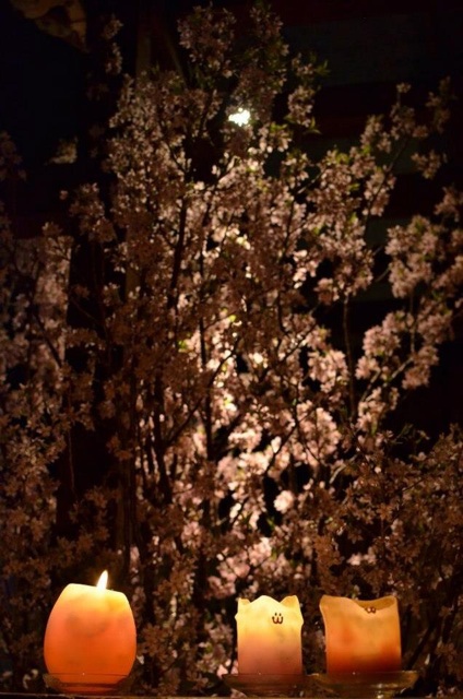 f:id:chise1219:20140626005006j:plain f:id:chise1219:20140626005006j:plain