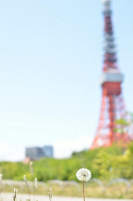 f:id:chise1219:20140701155718j:plain f:id:chise1219:20140701155718j:plain