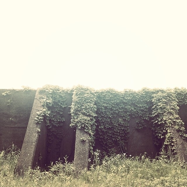 f:id:chise1219:20140703181423j:plain f:id:chise1219:20140703181423j:plain