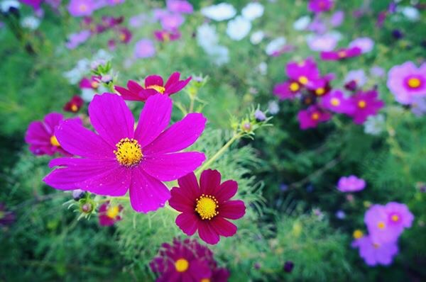 f:id:chise1219:20141016185835j:plain f:id:chise1219:20141016185835j:plain