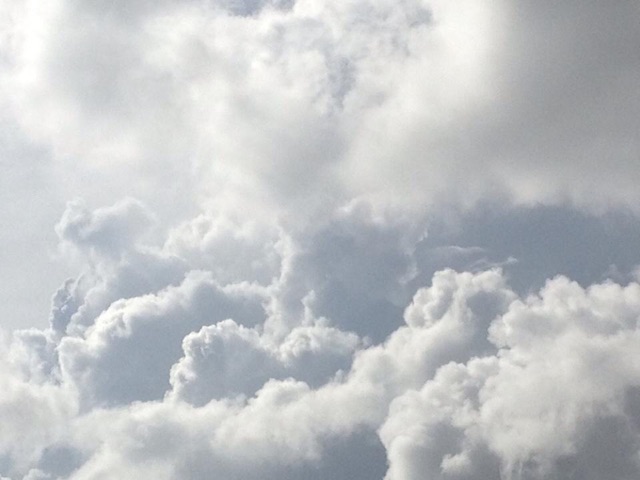 f:id:chise1219:20141016191600j:plain f:id:chise1219:20141016191600j:plain