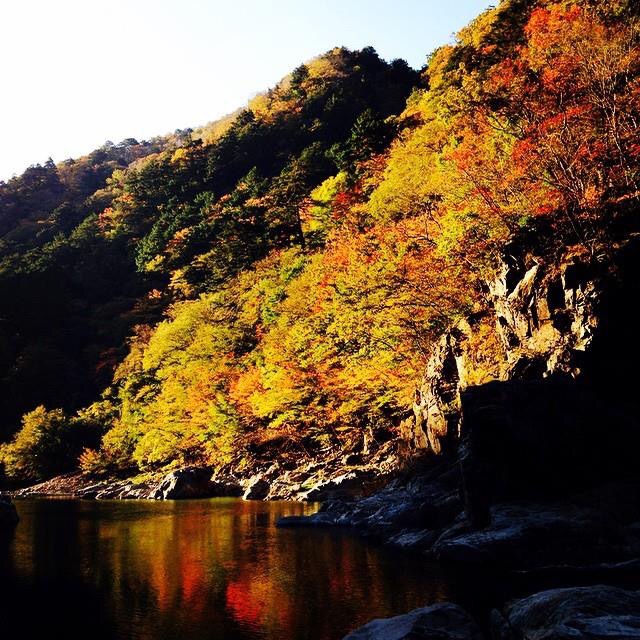 f:id:chise1219:20141101204407j:plain f:id:chise1219:20141101204407j:plain