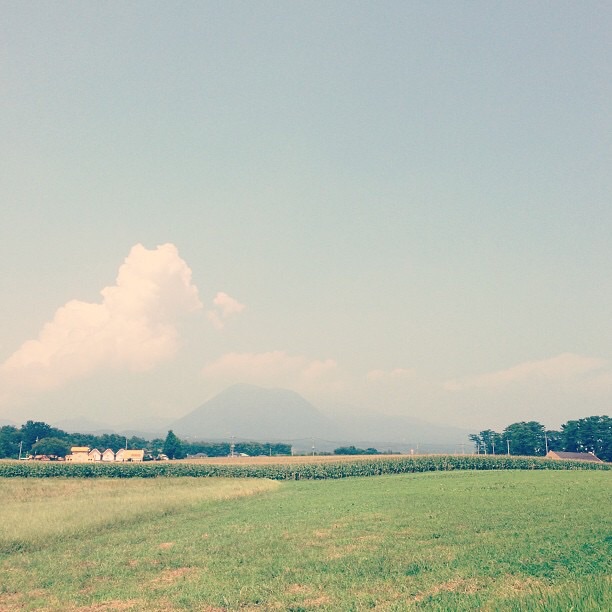 f:id:chise1219:20141107154418j:plain f:id:chise1219:20141107154418j:plain