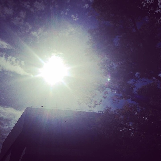 f:id:chise1219:20141112205923j:plain f:id:chise1219:20141112205923j:plain