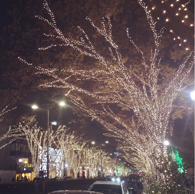 f:id:chise1219:20141204121158j:plain f:id:chise1219:20141204121158j:plain