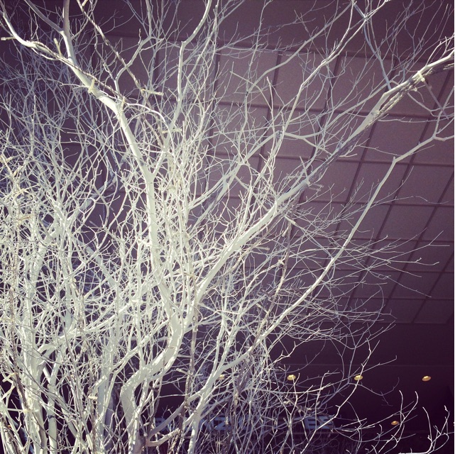 f:id:chise1219:20141208212139j:plain f:id:chise1219:20141208212139j:plain