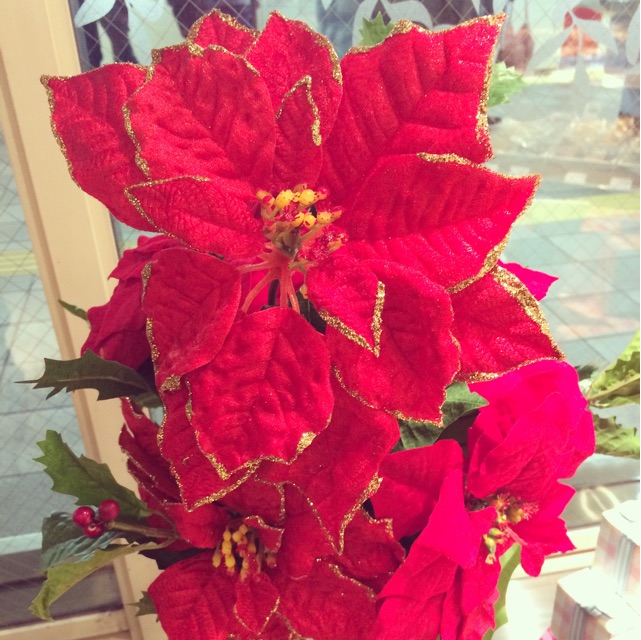 f:id:chise1219:20141222210348j:plain f:id:chise1219:20141222210348j:plain