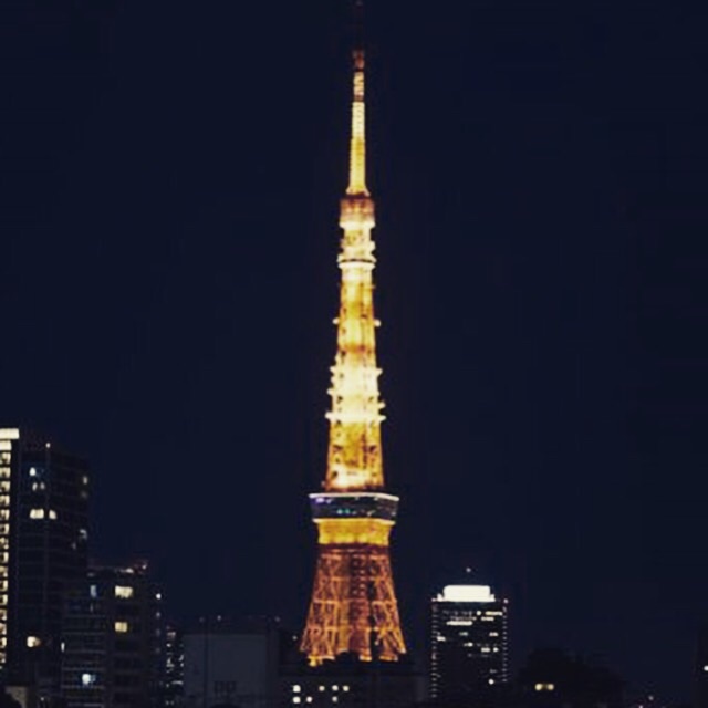 f:id:chise1219:20141229212500j:plain f:id:chise1219:20141229212500j:plain