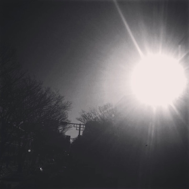 f:id:chise1219:20150109145336j:plain f:id:chise1219:20150109145336j:plain