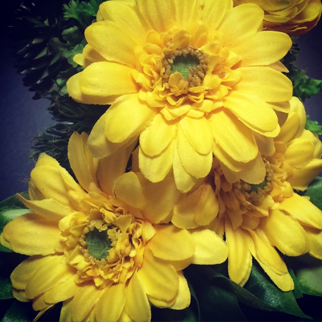 f:id:chise1219:20150213144535j:plain f:id:chise1219:20150213144535j:plain