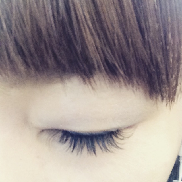 f:id:chise1219:20150214172531j:plain f:id:chise1219:20150214172531j:plain