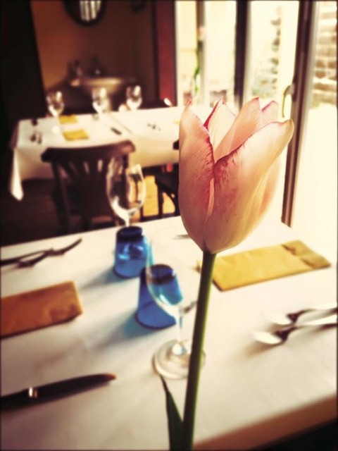 f:id:chise1219:20150217193612j:plain f:id:chise1219:20150217193612j:plain