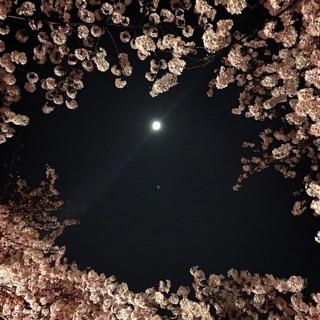 f:id:chise1219:20150331174950j:plain f:id:chise1219:20150331174950j:plain