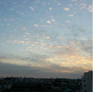 f:id:chise1219:20150415014634j:plain f:id:chise1219:20150415014634j:plain