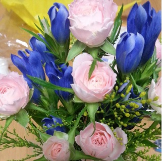 f:id:chise1219:20150415155841j:plain f:id:chise1219:20150415155841j:plain