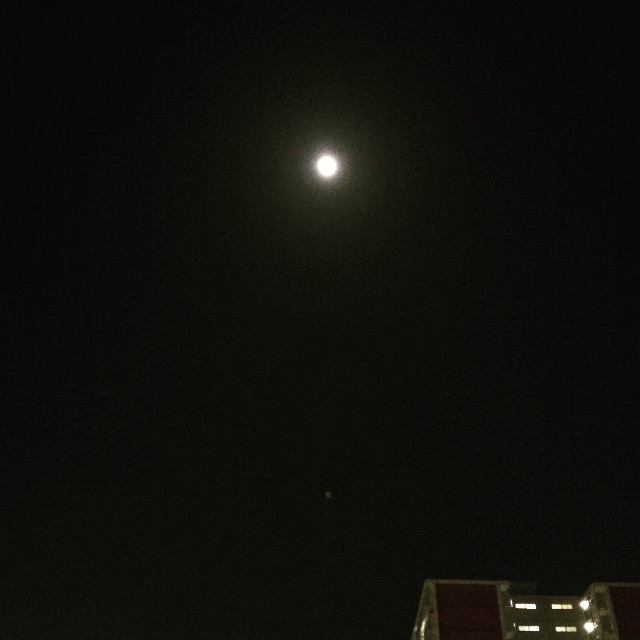 f:id:chise1219:20150501213215j:image f:id:chise1219:20150501213215j:image