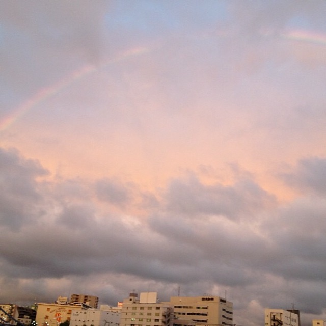 f:id:chise1219:20150521183336j:image f:id:chise1219:20150521183336j:image