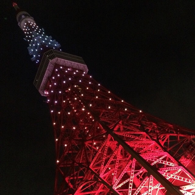 f:id:chise1219:20150522150445j:image f:id:chise1219:20150522150445j:image