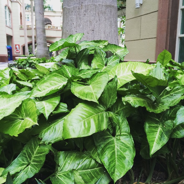 f:id:chise1219:20150607195440j:image f:id:chise1219:20150607195440j:image
