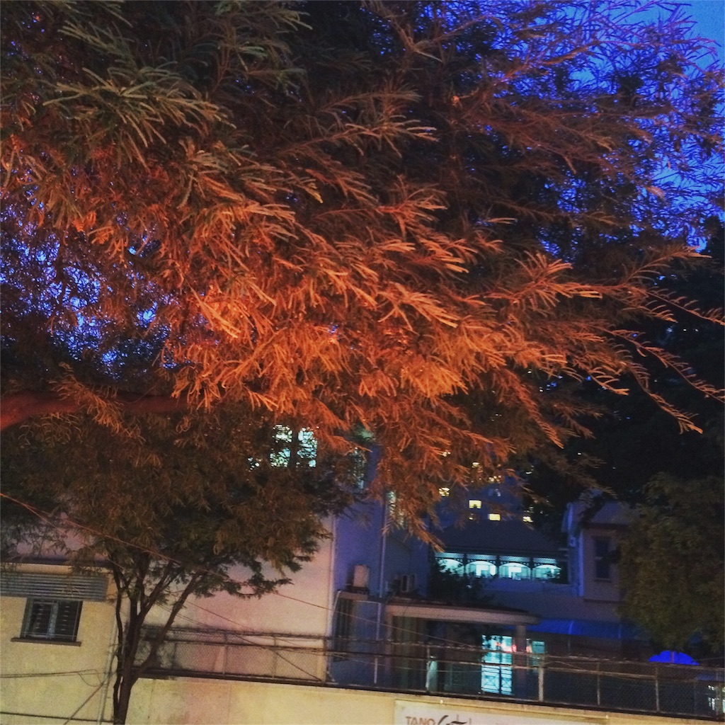 f:id:chise1219:20160403034548j:image f:id:chise1219:20160403034548j:image