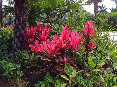 f:id:chiyo045:20130204140540j:image f:id:chiyo045:20130204140540j:image