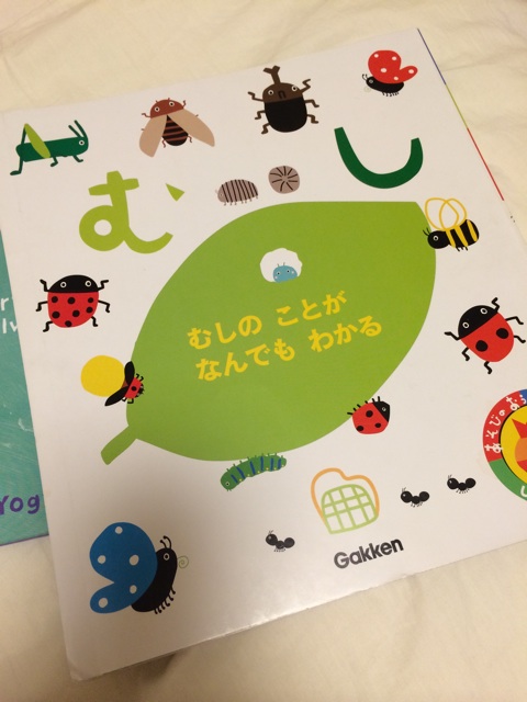 f:id:chiyokom:20141202222055j:plain f:id:chiyokom:20141202222055j:plain