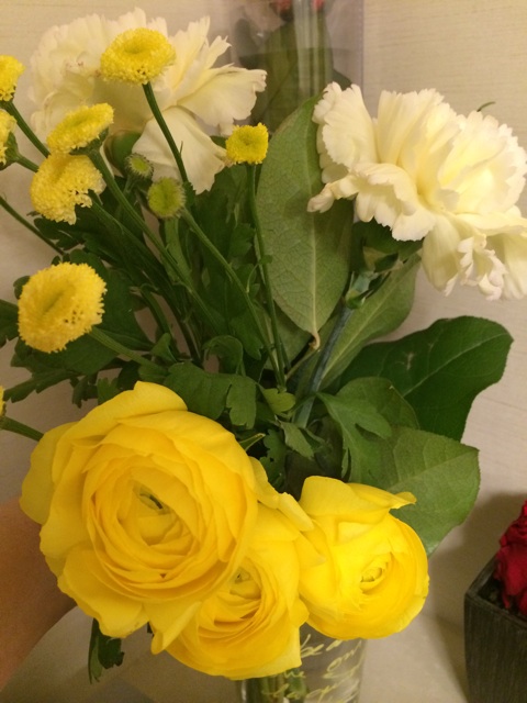 f:id:chiyokom:20150228201854j:plain f:id:chiyokom:20150228201854j:plain