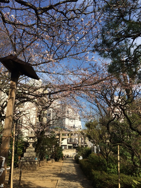 f:id:chiyokom:20150328161437j:plain f:id:chiyokom:20150328161437j:plain