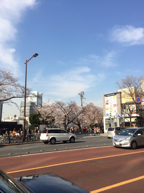 f:id:chiyokom:20150328161445j:plain f:id:chiyokom:20150328161445j:plain