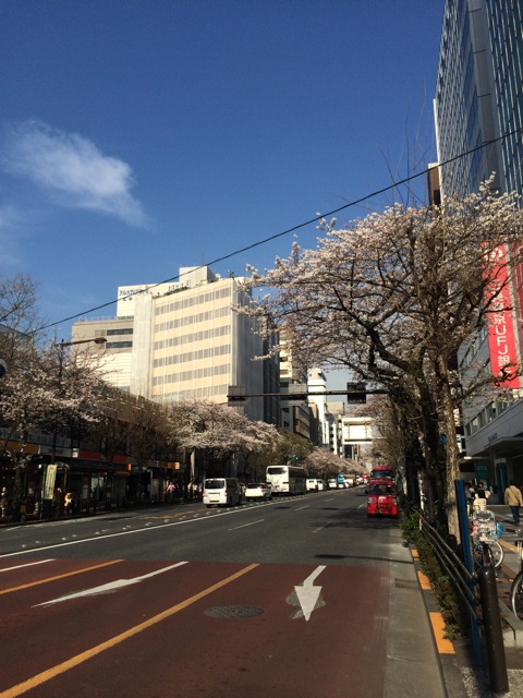 f:id:chiyokom:20150328161455j:plain f:id:chiyokom:20150328161455j:plain